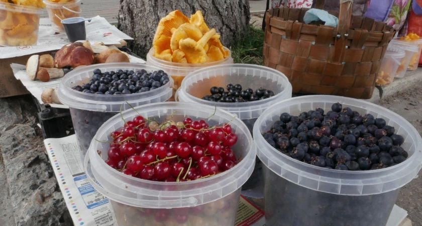 Больше не обливаю смородину кипятком, как все: есть способ намного лучше