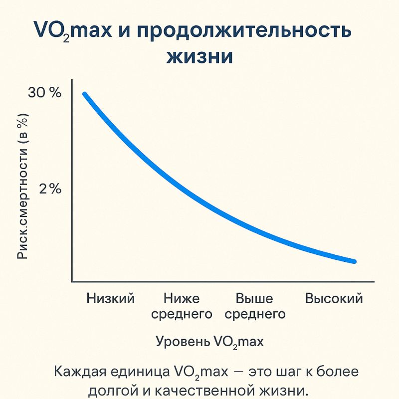  VO2 max     : ,   