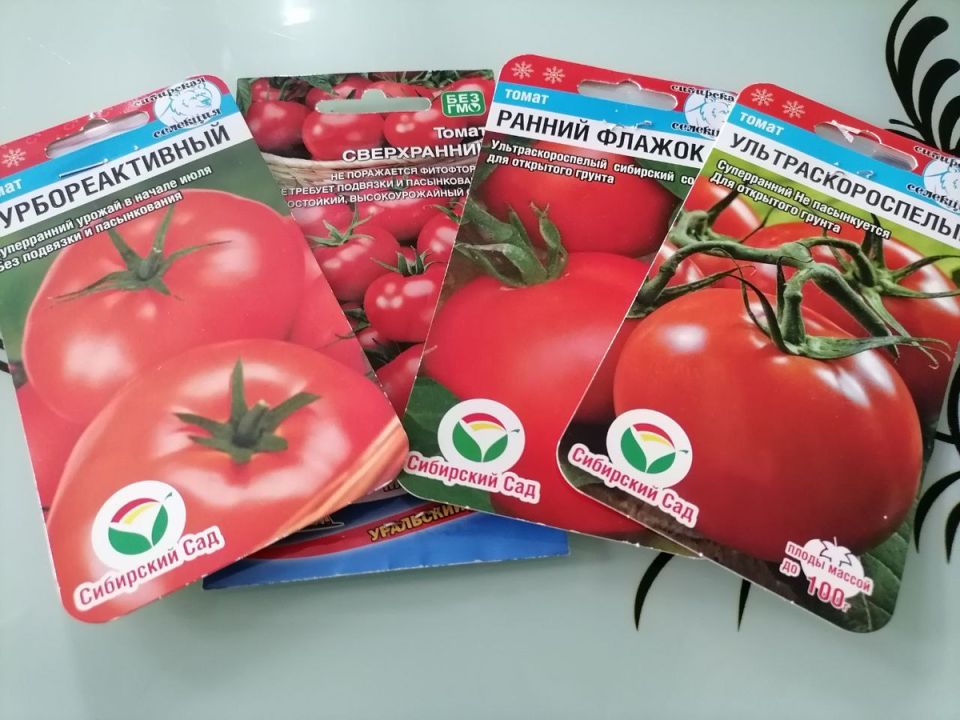 Опыт и выбор: что почерпнули из прошлого сезона