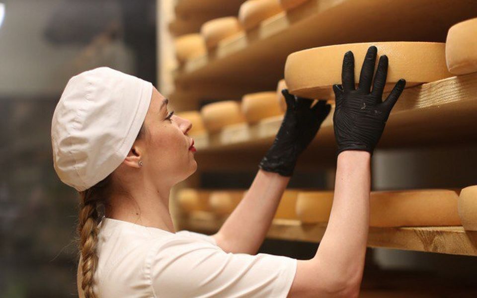 Nelt    :   Moloko Group