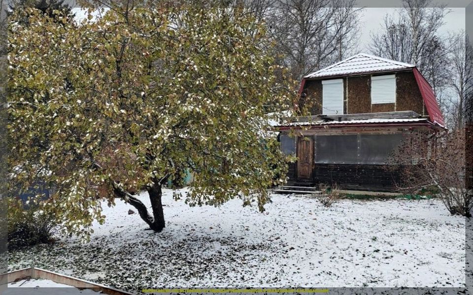 Как подготовить дачу к зиме: советы для садоводов