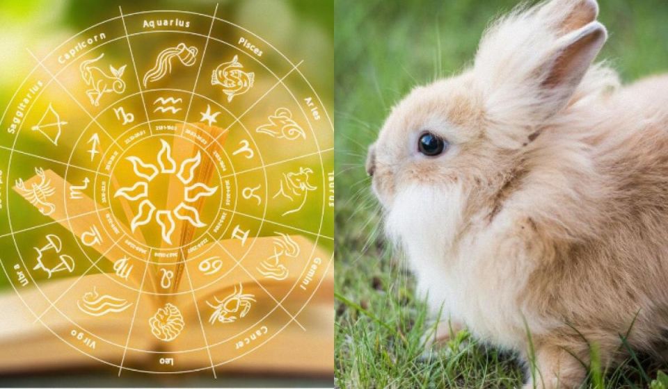 Какое фермерское животное соответствует вашему знаку Зодиака?