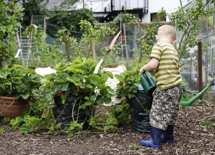 �������� �������: ���� � ����������� ����� ��������