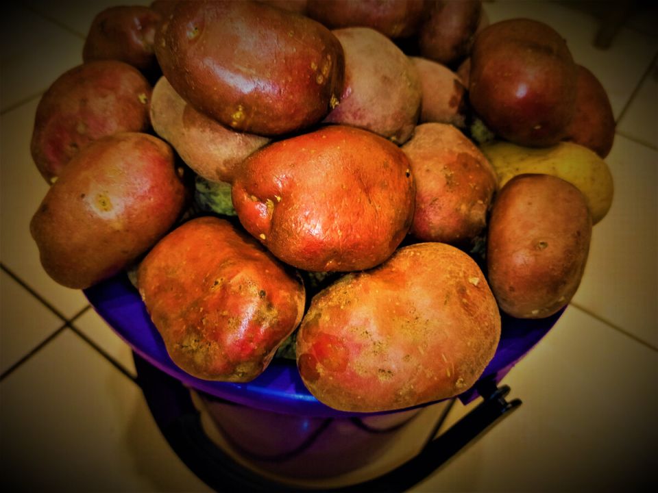 ��� ��������� ��������� � �������� � �������� ������: ����������� ������