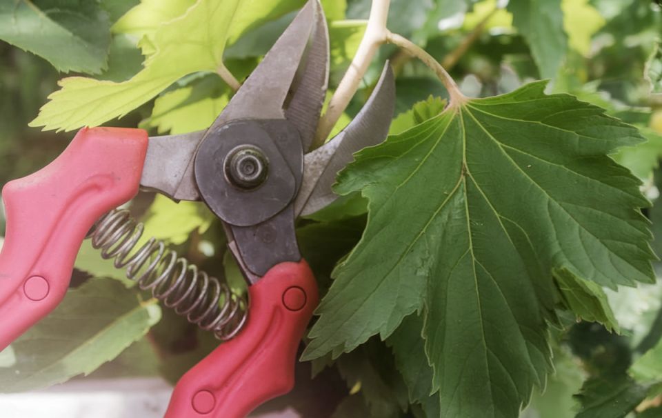 ��� ������������ ������ ������ ���������? ���������� ������ ��� ���������.