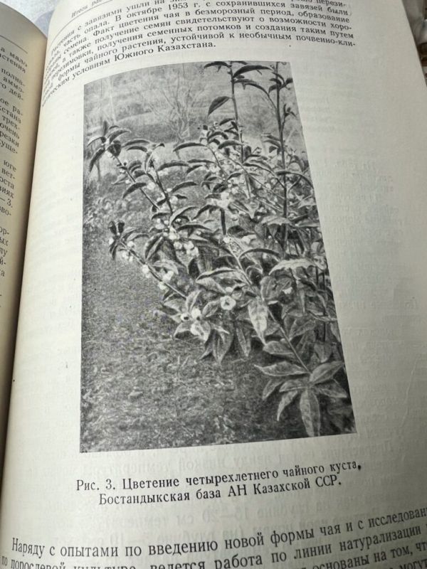 ������ ������������ � ����������: ��������� �������