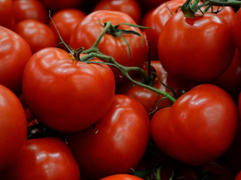 ������� ��������� �� ������ ���������