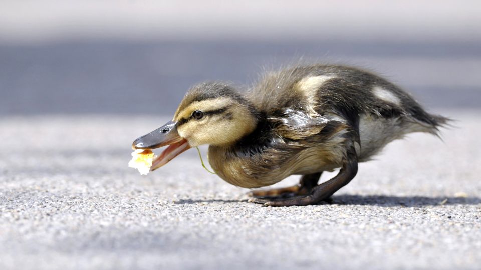 ���� ����� ������� ������, �� ���� ������