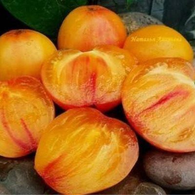 ������� ������: ��� ��������� ��������� ������ ��� ������� � ���������