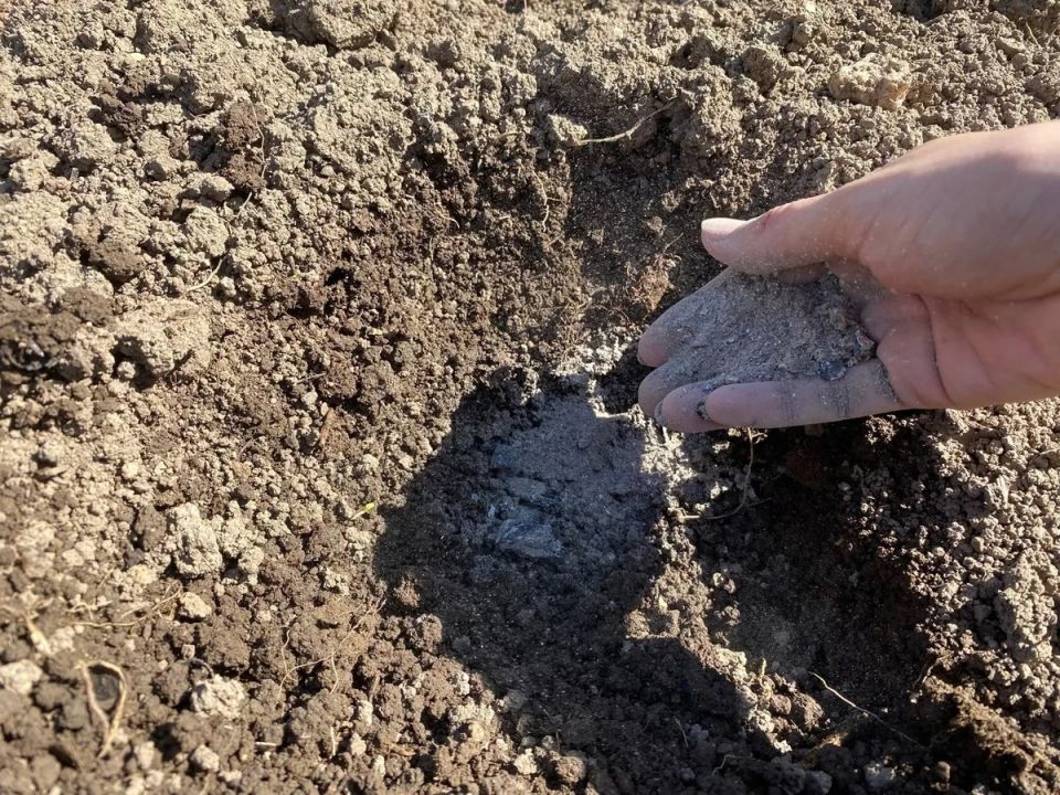 ������� ������� ������: ��� ������ ������� ���������� ������ � �������� ������