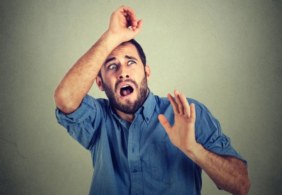 ��� ������, ���� �������� ������ �� ��������: �������� ������ � ��������� ���� �������