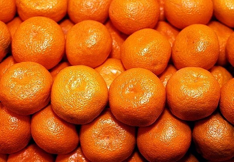 ������ ��������� ����� ������������ ��������� �������� ������ ����