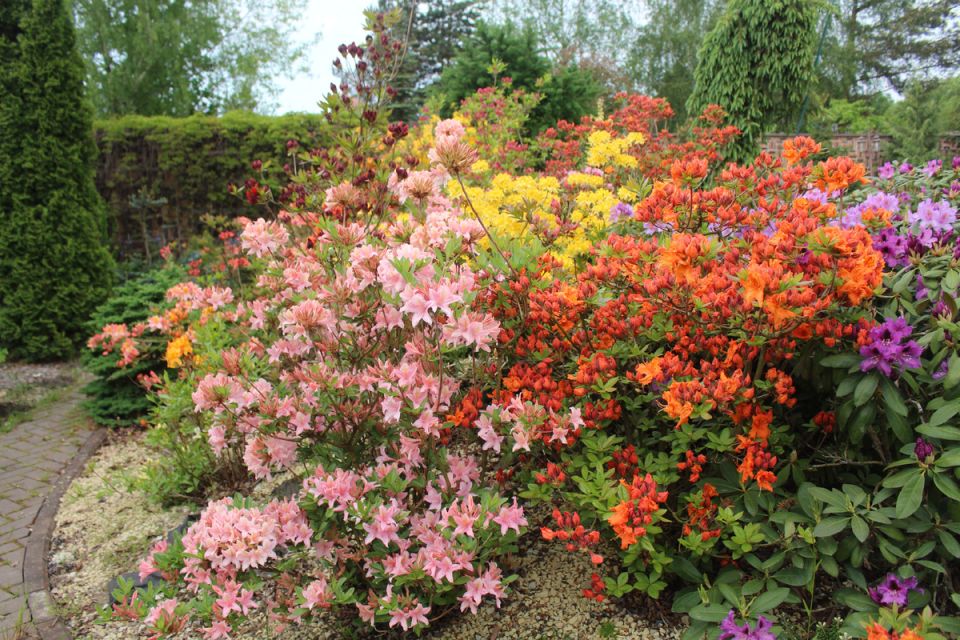 ���������� �������� � ���� ����� ���������