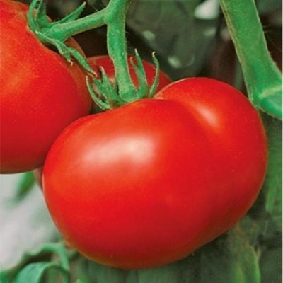 ����� ������: ������ ������ � ��������������� ��� ��������� ������