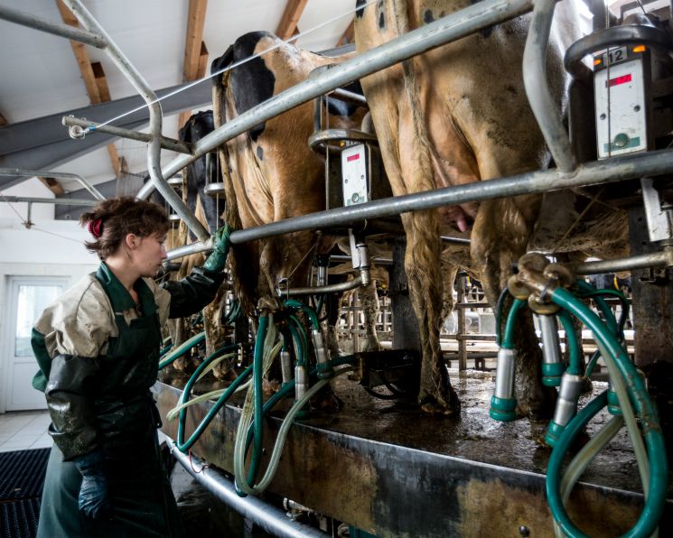 ������� ��� �������� �������: �������������� ����� ������ �������