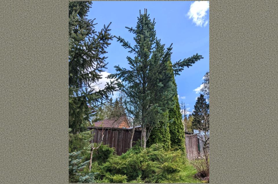 ��������� � �����: ������ ������������� ������� ������� ������ ���� �����