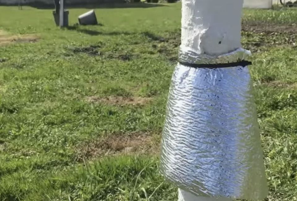 Умная защита: ловчие пояса для вашего сада в зимний период