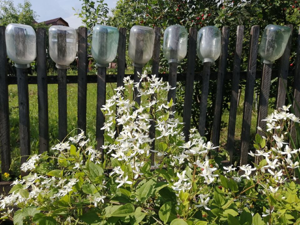 Народная мудрость: лучшие комментарии недели на нашем канале