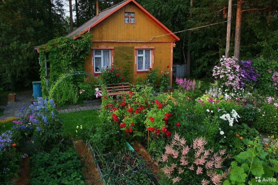 ���� � ���� � ����������� ������� ����������� �������������� � �����