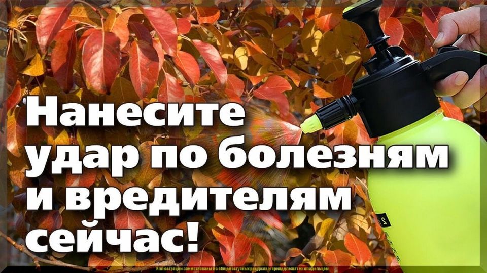 �������� ������ �������� �������� � ���������� � ���� ������ � ��� ����������� �����