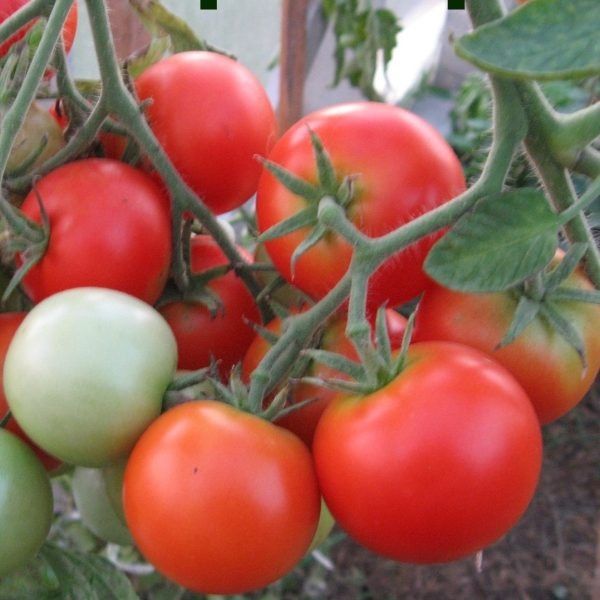 ������: ��� ��������� ������������ ����� ��� ��������� ������ � ������ �� �����������