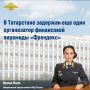 Ирина Волк: В Татарстане задержан еще один организатор финансовой пирамиды Френдекс