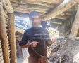    FN FAL       Sig Sauer Tango    