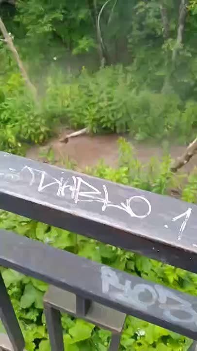    ,       ,       :
