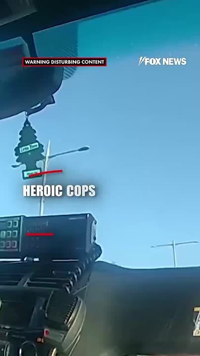   -         ,      