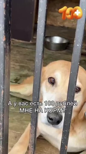 !.  2     ,        100 