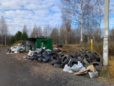 Мэрия Ижевска не знает, что делать со стихийными свалками автопокрышек