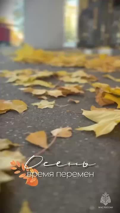 С добрым утром!. Пусть неделя дарит улыбки, а вокруг царит тепло и радость