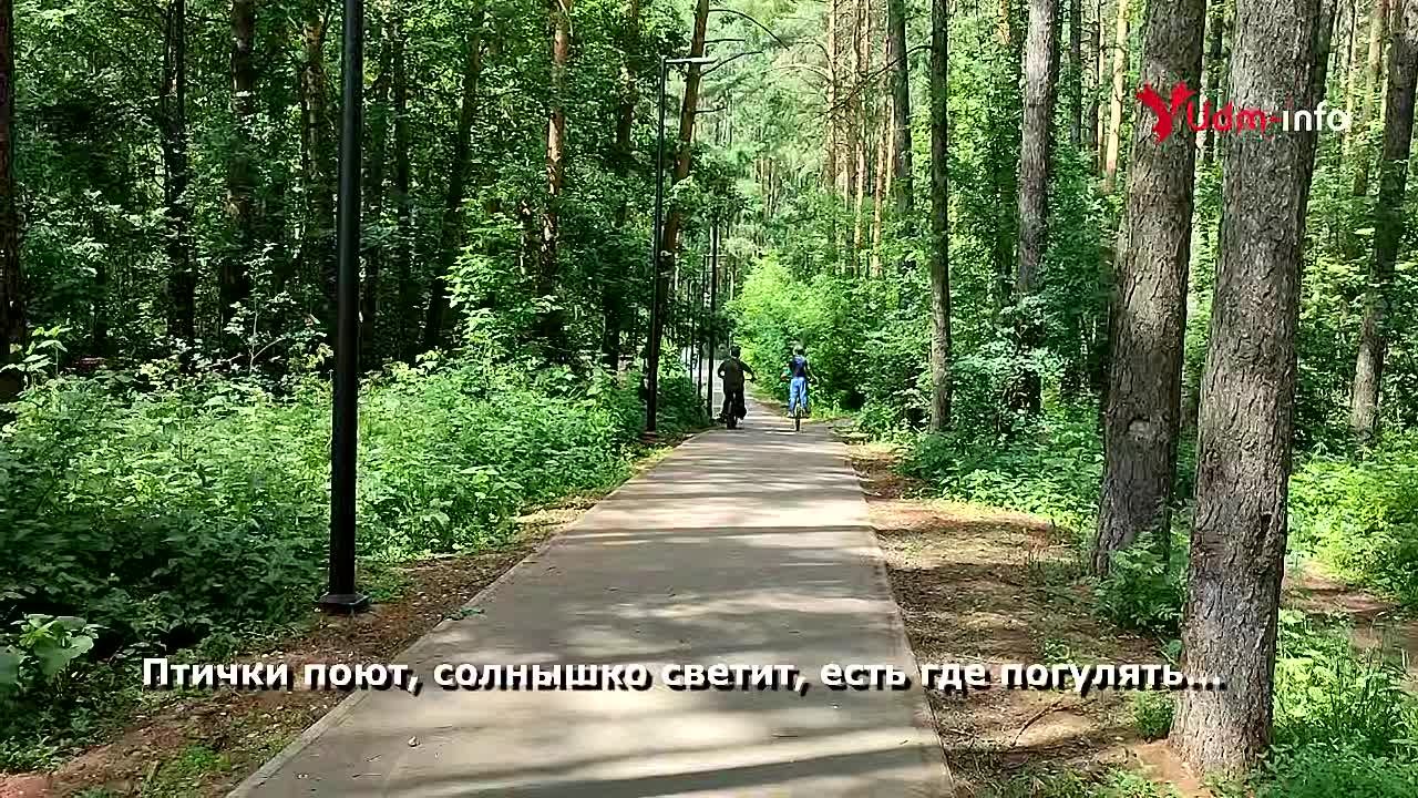 Строить нельзя, но парк закончат в 2026 году: власти Ижевска о лесе на Ворошилова