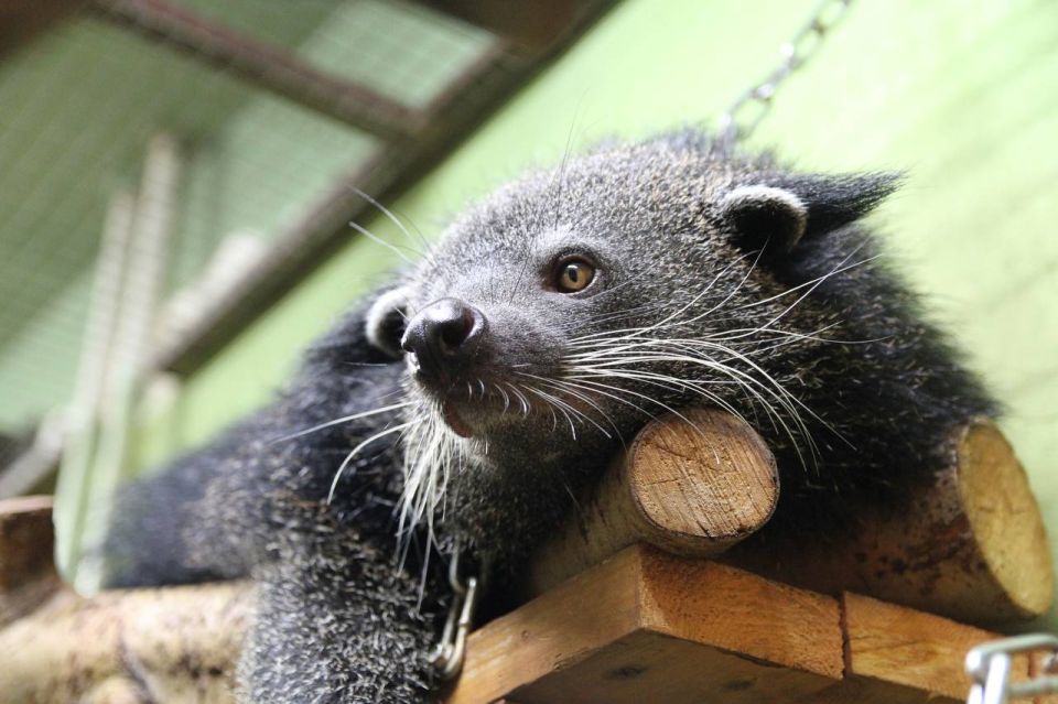 Если собирались в предстоящие выходные в зоопарк, то вот важная информация об изменениях режима его работы