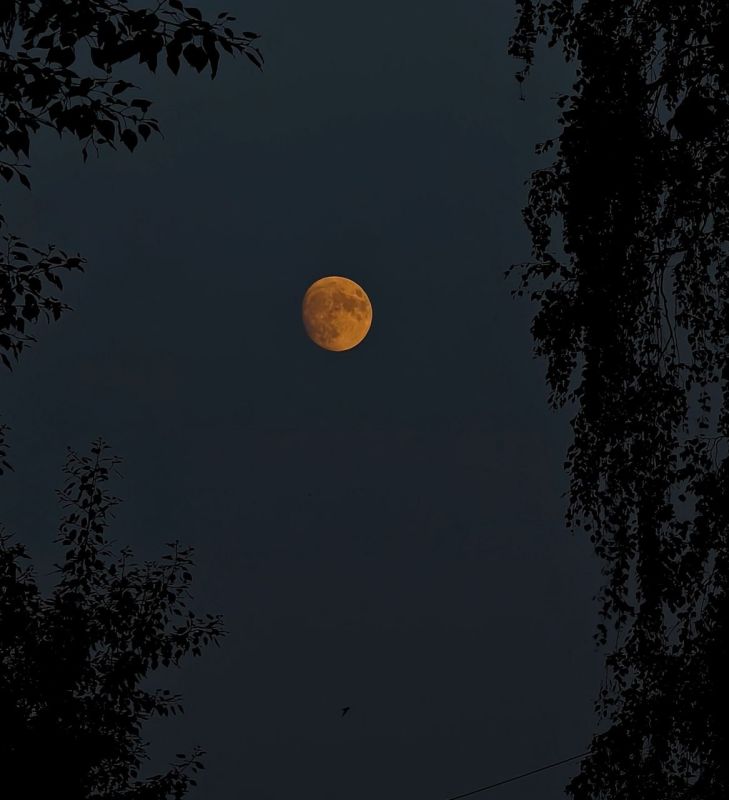 В ночь с 5 на 6 ноября жители Удмуртии смогут наблюдать суперлуние