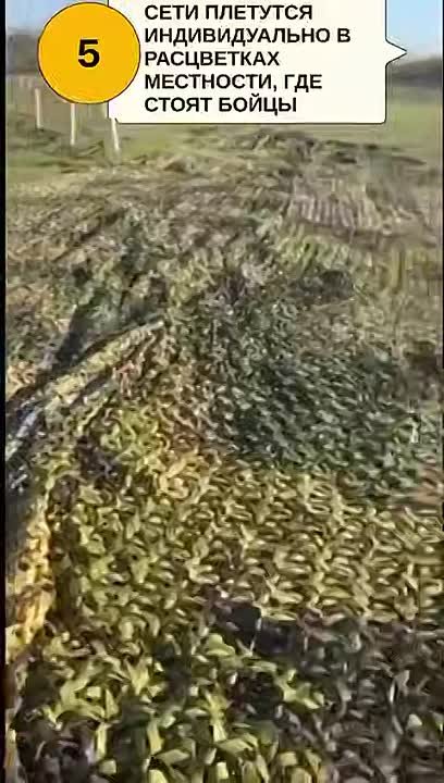 Дмитрий Стешин: Обратите внимание на это сообщение! Бабушка Таня из Ижевска, героиня одного из моих репортажей