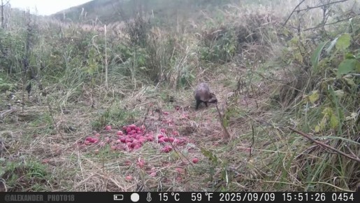 ,   ..          .   ,       .        . ...