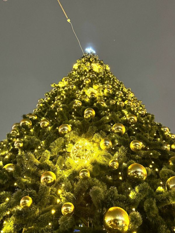 В Ижевске у торгового центра «Мой Порт» уже зажглись огни на новогодней ёлке