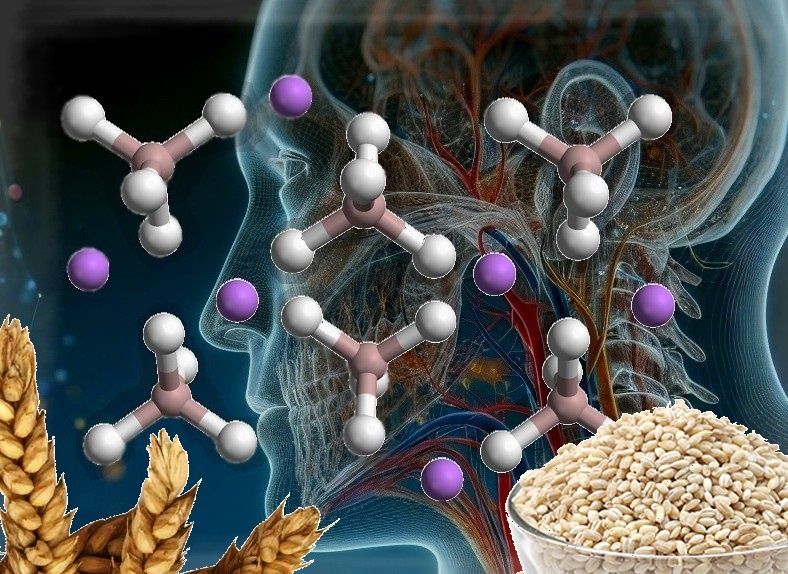 Новый взгляд на литий: как обычные продукты могут защитить ваш мозг