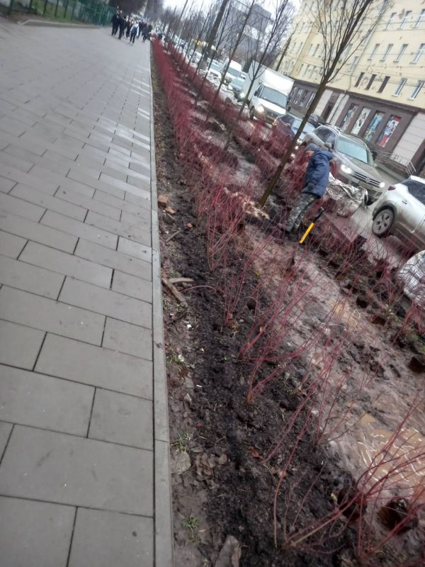      ,        ,   Udm-Info