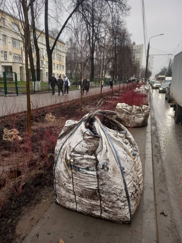 Фотографии с улицы Советской в Ижевске, где «ударными темпами» продолжается обещанное городскими властями озеленение, прислали подписчики Udm-Info Фотографии с улицы Советской в Ижевске, где «ударными темпами» продолжается обещанное городскими властями озеленение, прислали подписчики Udm-Info