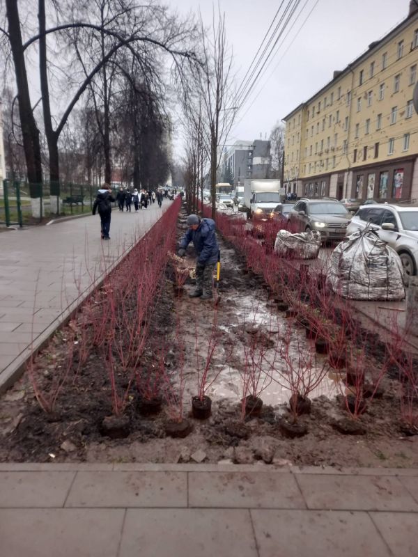 Фотографии с улицы Советской в Ижевске, где «ударными темпами» продолжается обещанное городскими властями озеленение, прислали подписчики Udm-Info Фотографии с улицы Советской в Ижевске, где «ударными темпами» продолжается обещанное городскими властями озеленение, прислали подписчики Udm-Info