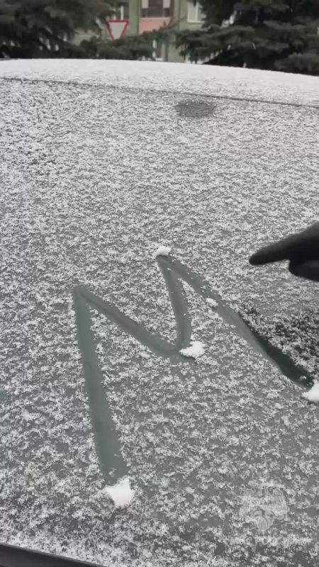 Доброе утро!. Наш сотрудник поймал снежное настроение - лёгкое и доброе