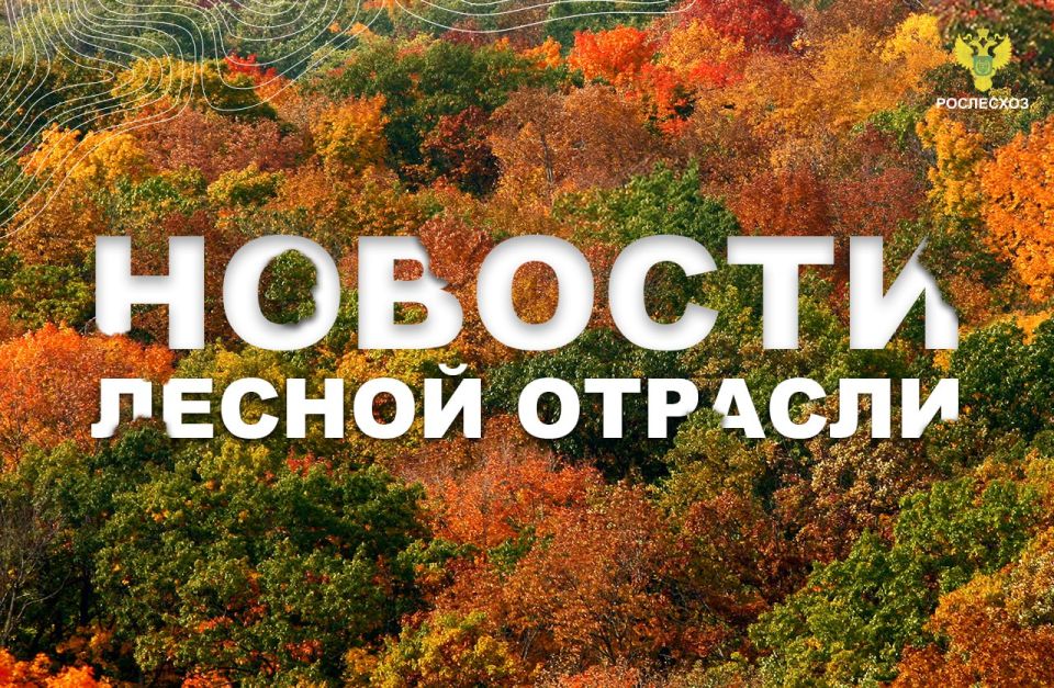 РИА Новости: В лесничествах Крыма высадили 180 тысяч деревьев