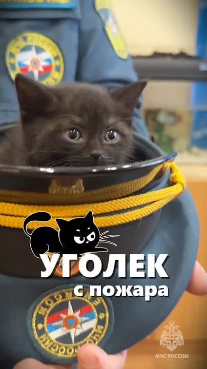 С добрым утром, друзья!. Вы только посмотрите на это чудо! У ижевских огнеборцев появился новый боец