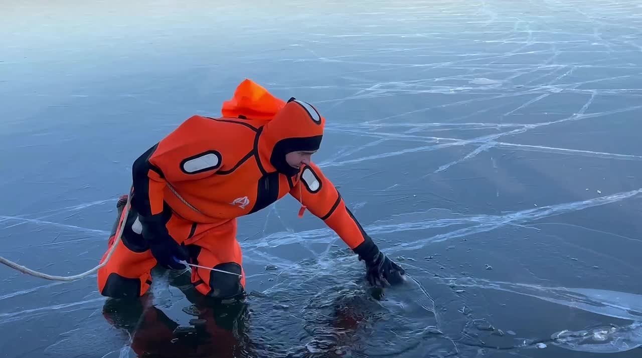 Страшно красивый и страшно опасный!