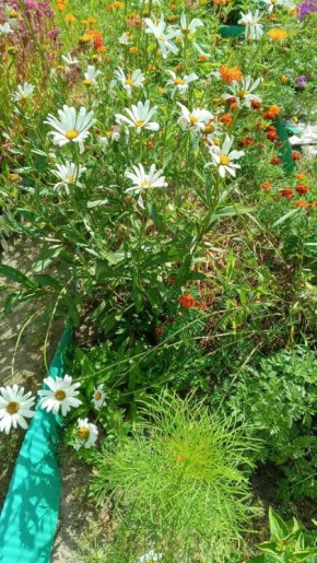 Ожидание чуда: Как укол для снятия боли в пятке стал разочарованием