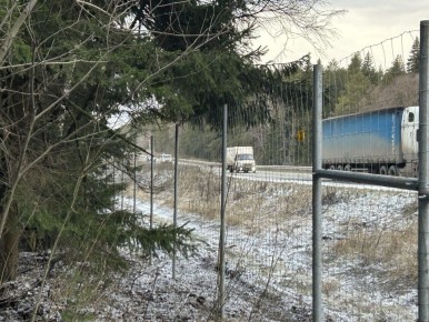 Ограждение от диких животных установили на дороге Ижевск — Воткинск