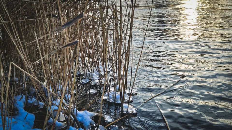 В предстоящие выходные дни в Удмуртии существенных осадков не ожидается