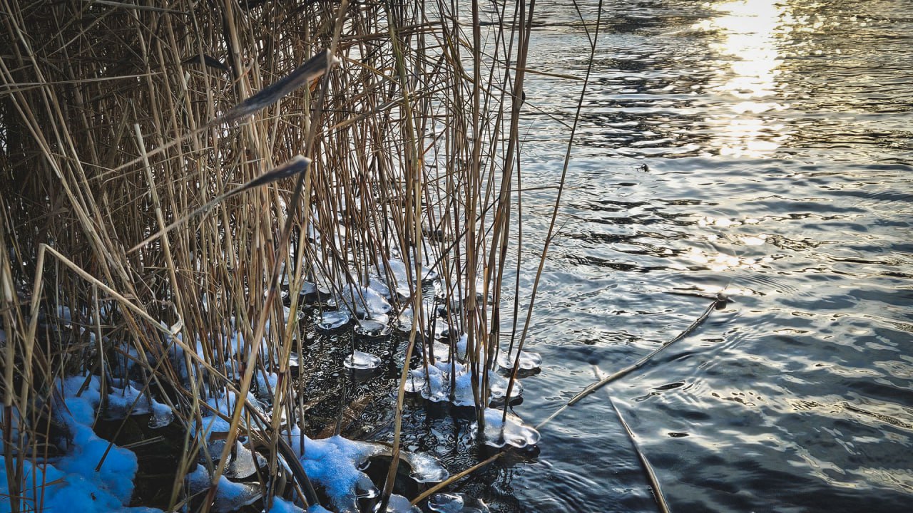 В предстоящие выходные дни в Удмуртии существенных осадков не ожидается